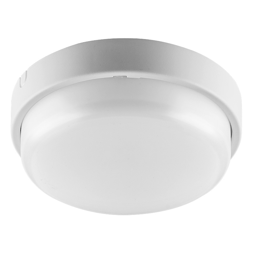 Светильник WOLTA PRO ЖКХ ДБО01-12-001-6К 12Вт 6500К IP65 Матовый